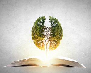 冒险岛私服发布网